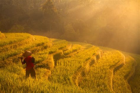 Early To Rise Indonesia Ken Koskela Photography