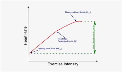 Heart Rate And Exercise Intensity Graph Png Image Transparent Png