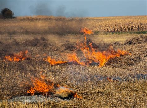 Incineration of Agricultural Waste - Smog and Pollution. Harmful Emissions from Burning Hay and ...