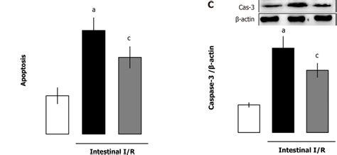 Recombinant Human Angiopoietin Like Protein Reduced The Increase Of