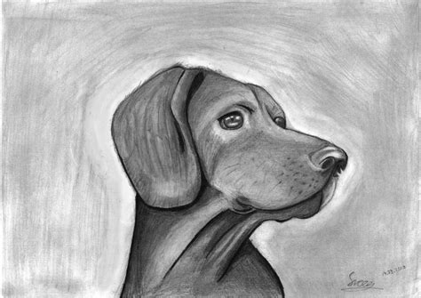 Sketch of a dog by Sveeg on DeviantArt