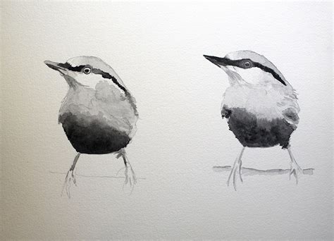 How to Paint Birds in Watercolor (tips from a beginner) | Travel For Wildlife