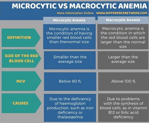 Difference Between Microcytic And Macrocytic Anemia Compare The