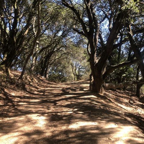 My Favorite Hiking Trails in Oakland, CA | xoxojackie blog