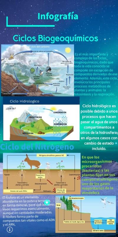 Infografía Ciclos Geoquímicos