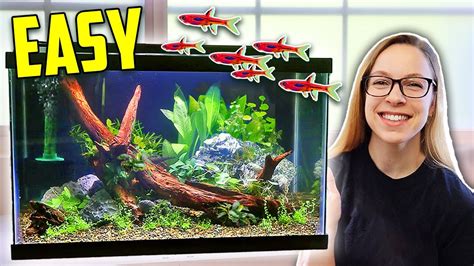 How To Set Up A 10 Gallon Planted Tank Aquascape Tutorial