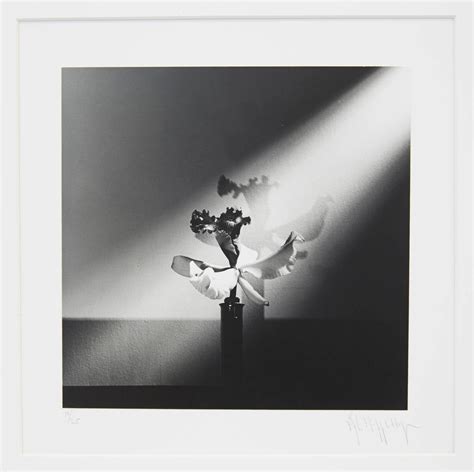 Robert Mapplethorpe Orchid Nty Photograph At 1stdibs