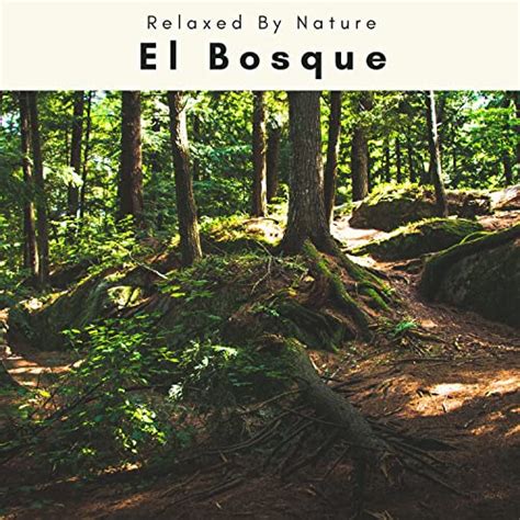 El Bosque Von Academia De M Sica Con Sonidos De La Naturaleza Bei