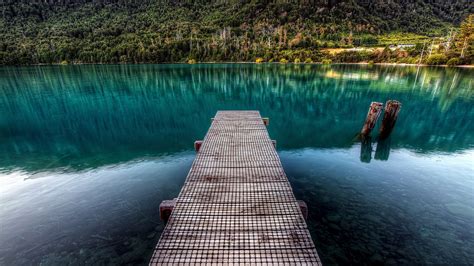 Wallpaper Trees Landscape Forest Sea Lake Water Nature Wooden