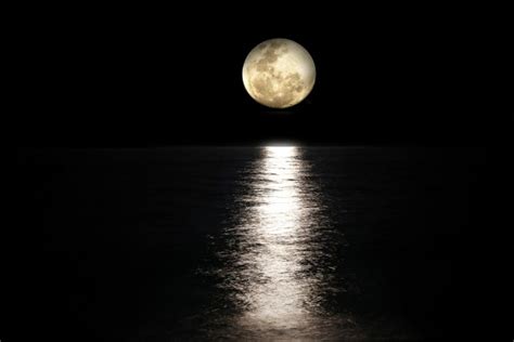 Night Moon Hd Wallpaper Download - 2880x1800 - Download HD Wallpaper ...