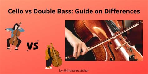 Double Bass Vs Cello Explained What Is The Difference The Tune Catcher