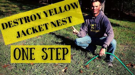 How To Get Rid Of Yellow Jacket Ground Wasp Nest With One Step Youtube