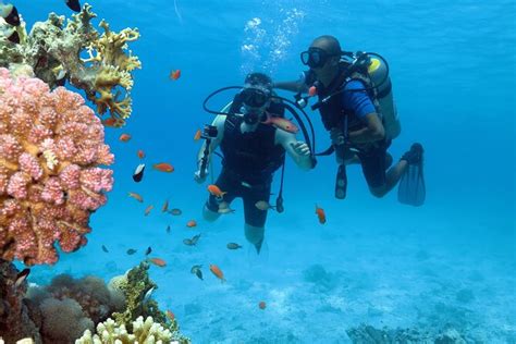 Snorkeling Day White Island Ras Mohamed With Top Deck Yacht