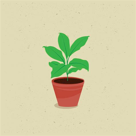 Free Potted Plant Vector Art Download 4809 Potted Plant Icons