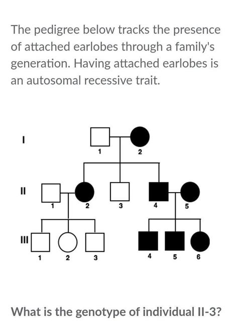 The Pedigree Below Tracks The Presence Of Attached Earlobes Through A