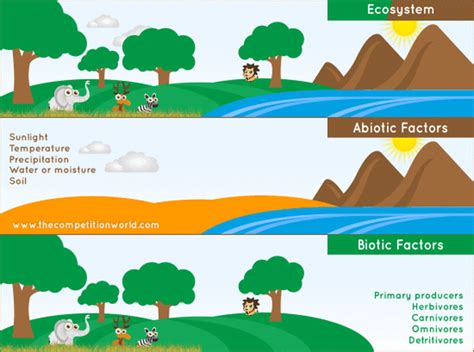 Abiotic and Biotic Factors