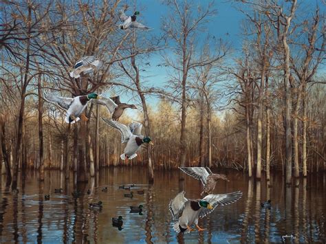 Mallard Duck Art Painting Print 2014 Arkansas Ducks Unlimited Reydell