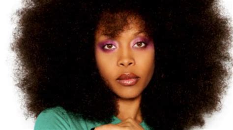 Afro Hairstyles 70s Hair Styles 1970s Black Hairstyles Natural Hair