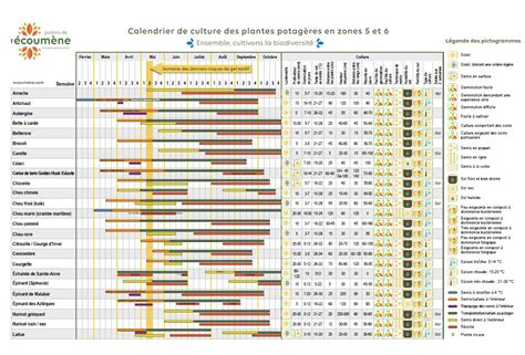 T L Charger Le Calendrier Des Semis En Pdf Calendrier Lunaire