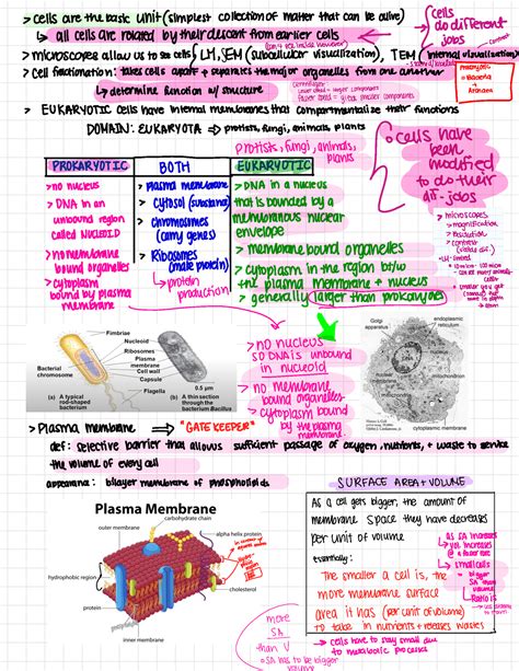 Unit Master Document For Notes Cells Are The Basic Unit Simplest