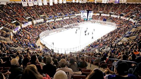 Stingrays Hockey: South Carolina Sharks Night | Charleston Events ...