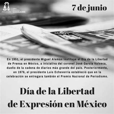 ¿por Qué Se Celebra El Día De La Libertad De Expresión Hoy 7 De Junio