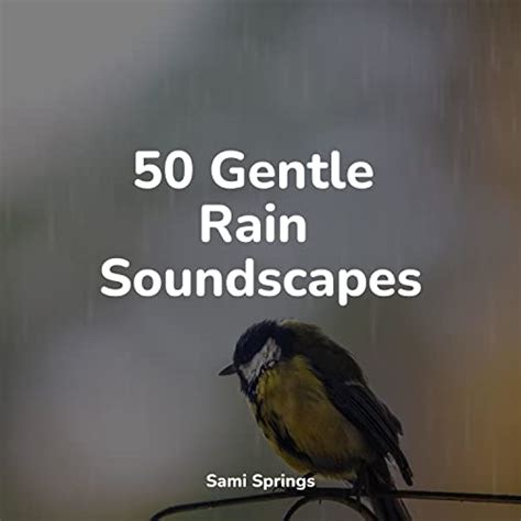 Gentle Rain Soundscapes By Calming Sounds Relaxing Rain Sounds