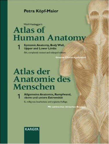 Buy Wolf Heidegger S Atlas Of Human Anatomy Wolf Heideggers Atlas Der