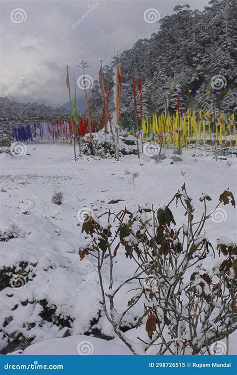 Beautiful Snow Covered Lachung Valley Near Yumthang Valley In Winter