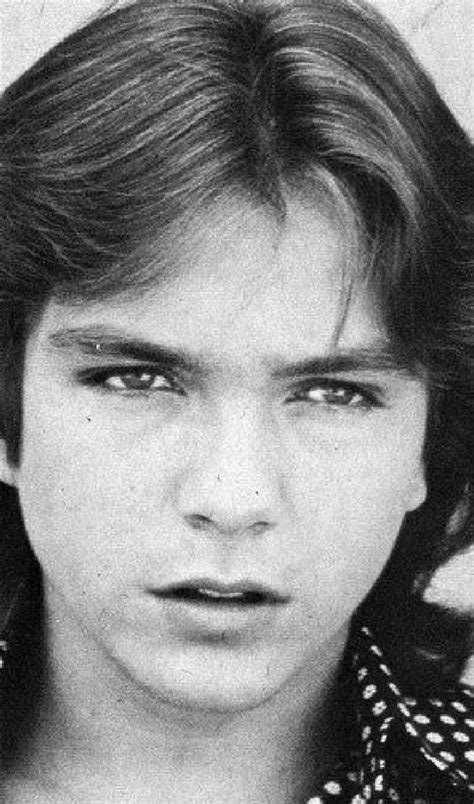 Pin By Patricia Scherer On Favorite Celebrities David Cassidy Sue