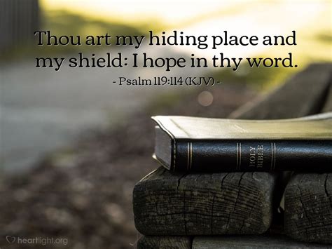 Psalm 119114 Kjv — Todays Verse For Sunday August 1 2010