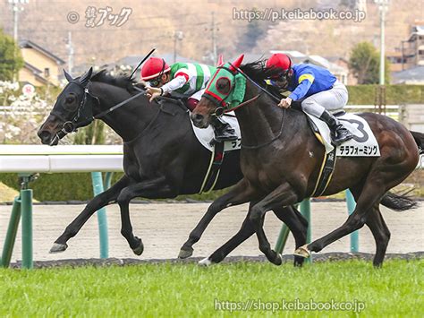 競馬ブックネットshop カラープリントアルミ枠付き2024年4月7日福島12r 4歳以上1勝クラスラスハンメル