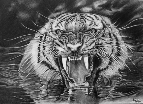 Richard Parker, Life of Pi by PopoKarimz on DeviantArt