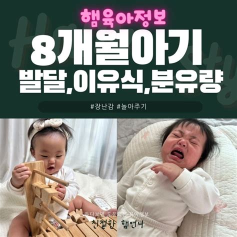 생후8개월아기발달 간식 장난감 놀아주기 이유식양 분유량 잠투정 기록 네이버 블로그