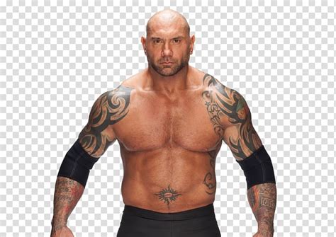 Dave Bautista Wrestlemania Xxx Royal Rumble 2014 World Heavyweight