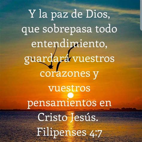 La Paz De Dios La Paz De Dios Palabra De Dios Biblia Sabiduria