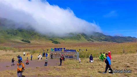 Indahnya Bukit Teletubbies Dan Savana Bromo Jawa Timur