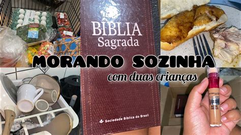 DAILY VLOG morando sozinha duas crianças fui ao mercado realizei