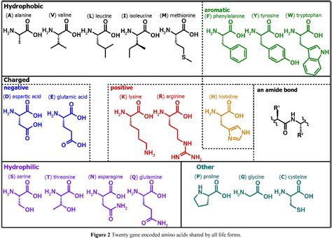 Figure From Design Of Nanostructures Based On Aromatic Peptide