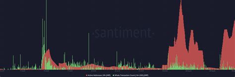 Kritik Göstergeler XRP de Yeni Bir Düşüşe mi İşaret Ediyor Kripto