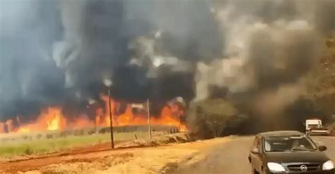 Queimadas causaram prejuízo de R 1 bilhão ao agronegócio estima