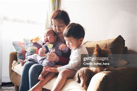 Dog Tearing Up Furniture Photos And Premium High Res Pictures Getty