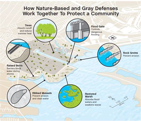 Nature Conservancy Report Reveals Value Of Natural Infrastructure In