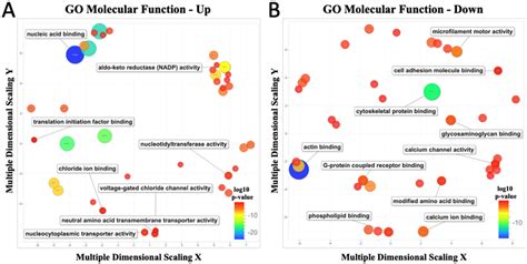 Go Enrichment Analyses Of Fss Treated And Static Controls Scatterplot