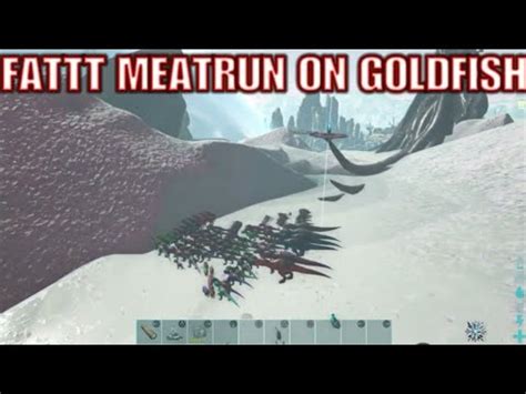 MeatRunning Goldfishs Mesh Base Ark Ps4 Official Pvp YouTube