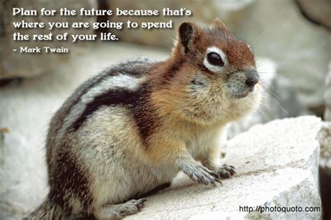 Squirrel Quotes And Images - ShortQuotes.cc