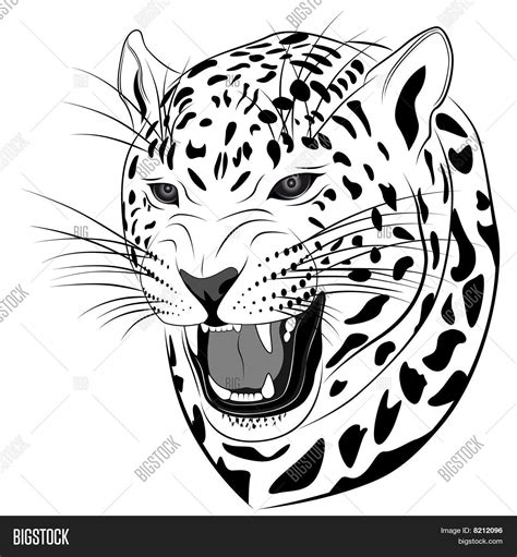 Leopard, Tattoo Vector & Photo (Free Trial) | Bigstock