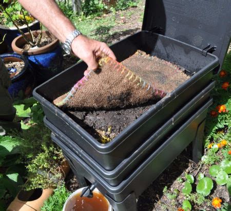 Как сделать вермикомпостер своими руками для квартиры, кухни и частного ...