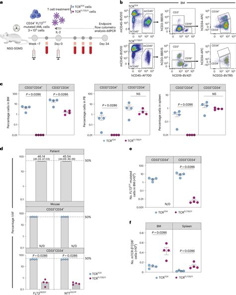 Tcrflt3dy Cells Eliminate Primary Cd34⁺ Aml In Vivo A Schematic