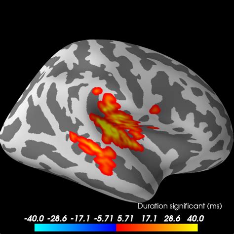 2 Samples Permutation Test On Source Data With Spatio Temporal